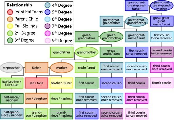 Genealogy relationships